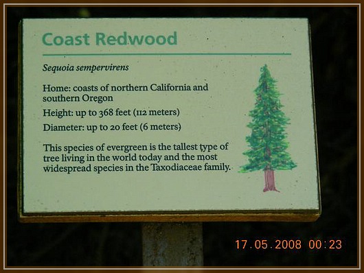 im Muir Wood  - Infotafel
