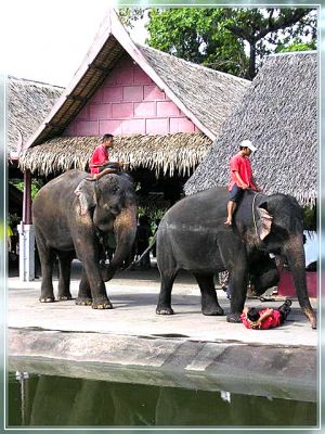 Rahmen06-05_Thailand024.jpg