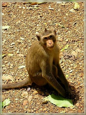 Rahmen06-05_Thailand034.jpg
