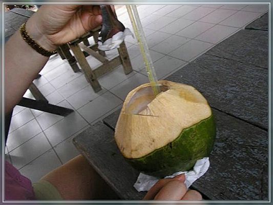 Frauchens Lieblingsdrink
