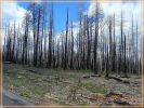 Waldbrand