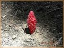 und was ist das?