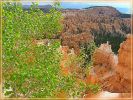 Frühling im Bryce