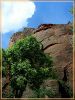 Zion 3