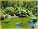 im Japanischen Garten