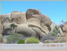 Steine im Joshua Tree N.P.