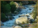 Three Rivers