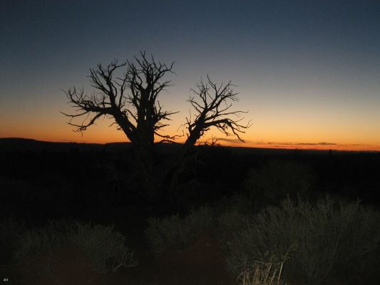 Abendstimmung im Arches NP
