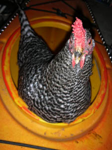 DSCN5319.jpg
