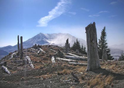 Mt.St.Helens
