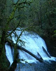 Drake Falls
