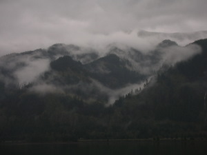 Columbia Gorge
