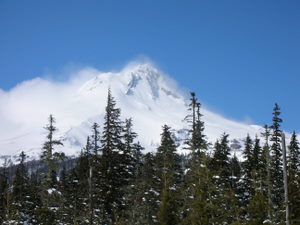Mt.Hood
