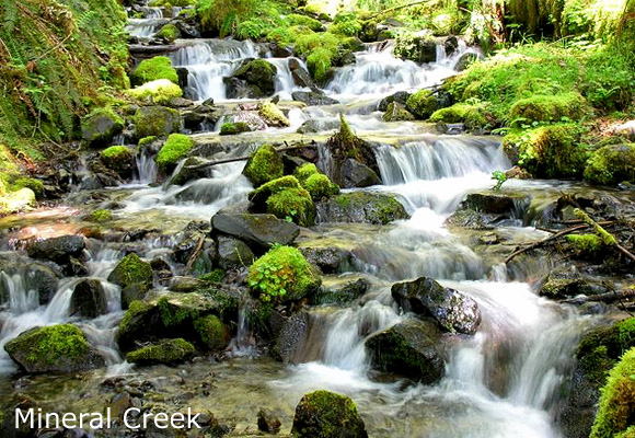 Mineral Creek
