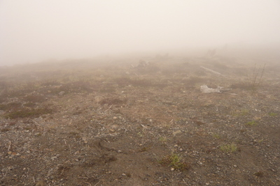 Helens
