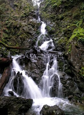 Rodney Falls
