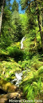 Mineral Creek Falls
