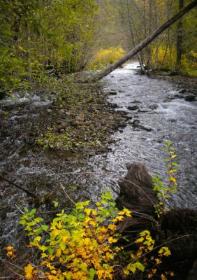 Breitenbush
