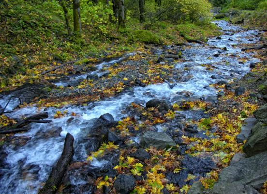 Wahclella Creek
