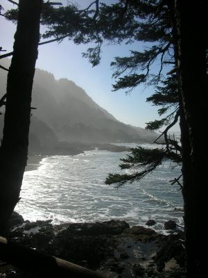 Cape Cove
Schlüsselwörter: Oregon, Coast, Cape Perpetua, Cape Cove