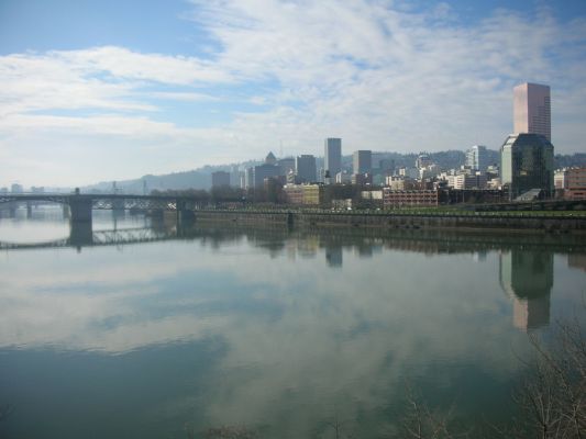 Downtown am Willamette
Die Innenstadt von Portland liegt am Willamette. Der Harbor Drive, der frueher direkt am Wasser entlang fuehrte ist inzwischen einem Park gewichen, so dass man jetzt am Wasser spazieren kann.
Schlüsselwörter: Portland, Oregon, Willamette, Downtown