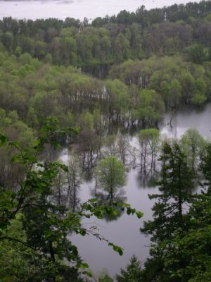 DSCN8896.JPG
