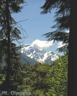 Mt.Olympus
