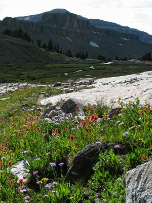 IMG_9606.jpg