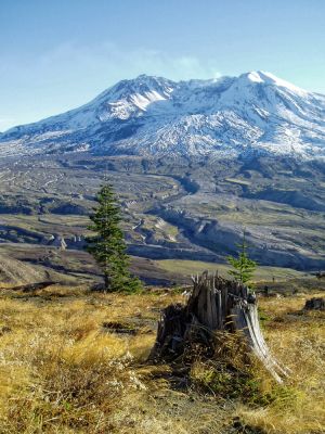 Mt. St.Helens NVM
Eine feine Rauchsäule steigt aus dem Krater auf.
