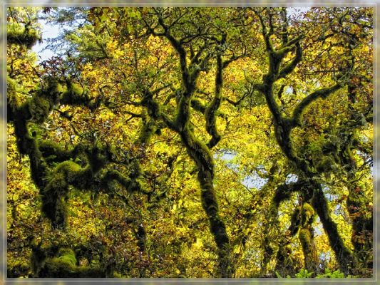 herbst1.jpg