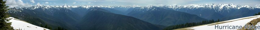 Hurricane Ridge