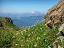 Mt.St.Helens