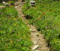 DSCN1179.jpg