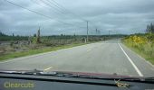 Clearcuts