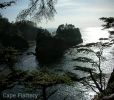 Cape Flattery