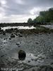 Niedrigwasser