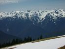 Mt.Olympus