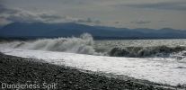 DSCN9841-1~0.jpg