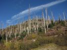 IMG_1920.JPG
