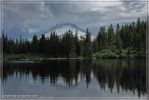 IMG_4232bfr.jpg