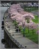 comp_IMG_3750.jpg