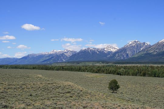 IMG_1925.JPG