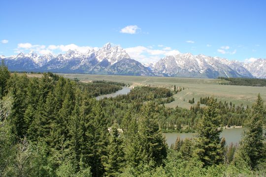 IMG_1965.JPG