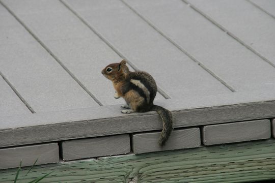 IMG_2372.JPG