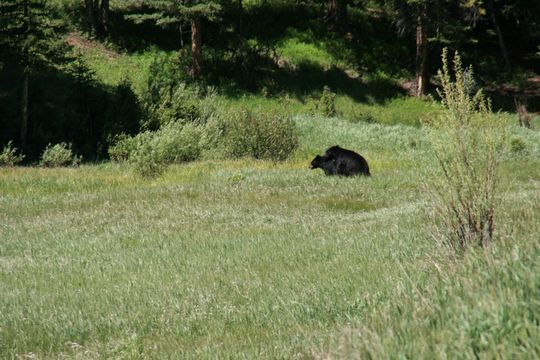 IMG_3064.JPG