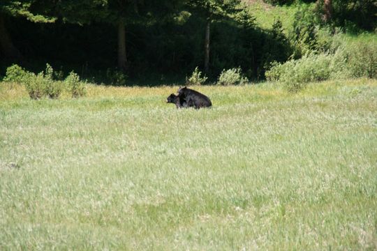 IMG_3078.JPG