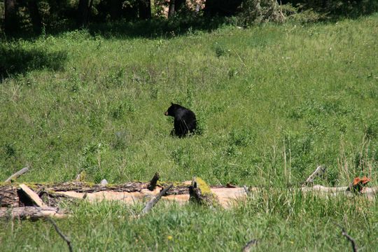 IMG_3130.JPG
