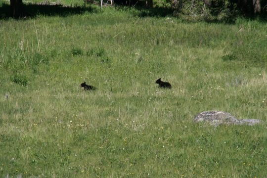 IMG_3153.JPG