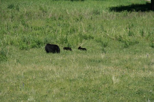 IMG_3157.JPG