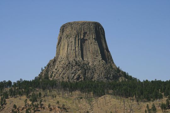 IMG_3784.JPG